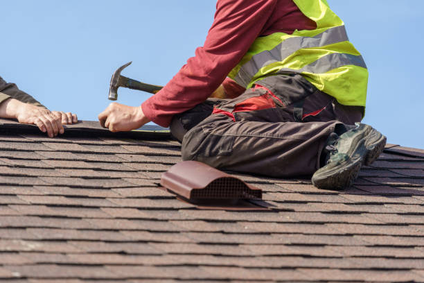 Best Storm Damage Roof Repair  in Harrington, DE