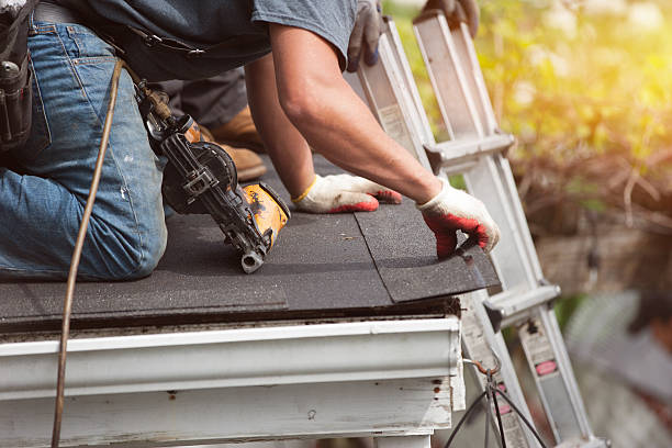 Best Roof Leak Repair  in Harrington, DE