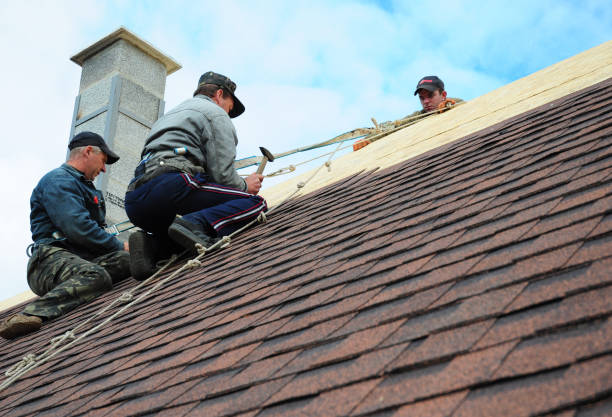 Best Tile Roofing Contractor  in Harrington, DE